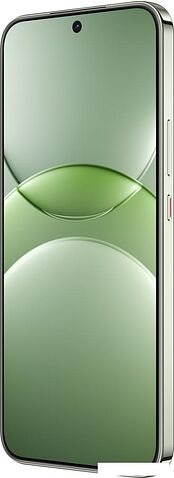 Смартфон Huawei nova 13 BLK-LX9 12GB/256GB (дымчатый зеленый)