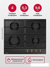 Варочная панель Hansa BHGA630390
