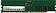 Оперативная память Digma 32ГБ DDR5 4800 МГц DGMAD54800032D