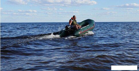 Моторно-гребная лодка Leader Boats Тайга-280-М 34115021 (зеленый)