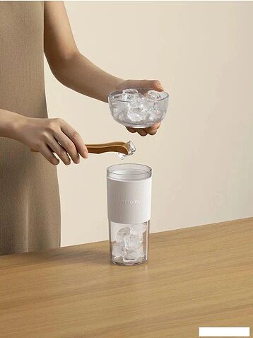 Портативный блендер Xiaomi Portable Blender XMZZB01PL (с евровилкой)