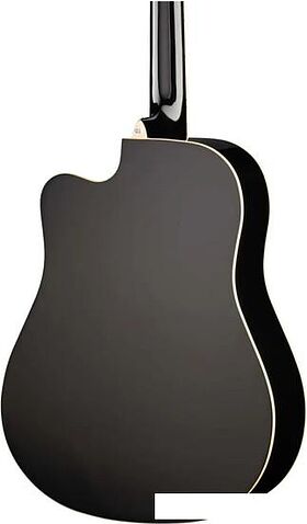 Акустическая гитара Naranda TG220CBK