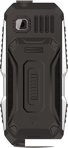 Мобильный телефон TeXet TM-D429 (черный)