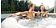 Надувной бассейн Intex Pure Spa Bubble Massage 28428 (216x71) с джакузи