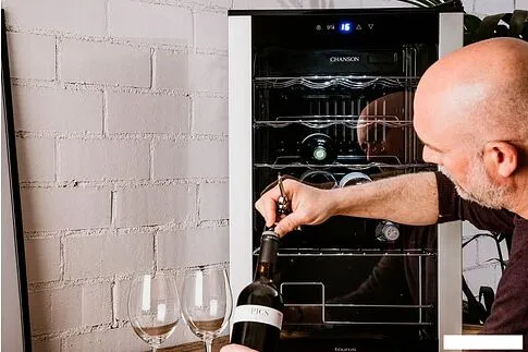 Винный шкаф Taurus Chanson 24