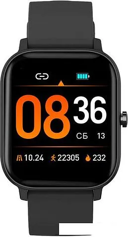 Умные часы SunWind SW30 (черный)