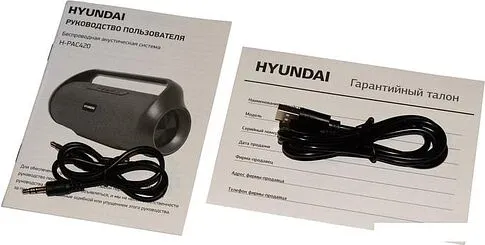 Беспроводная колонка Hyundai H-PAC420