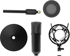 Микрофон Ritmix RDM-175