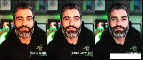Кольцевая лампа Razer Ring Light 12"