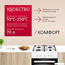 Кухонная плита Hansa FCGW510009H