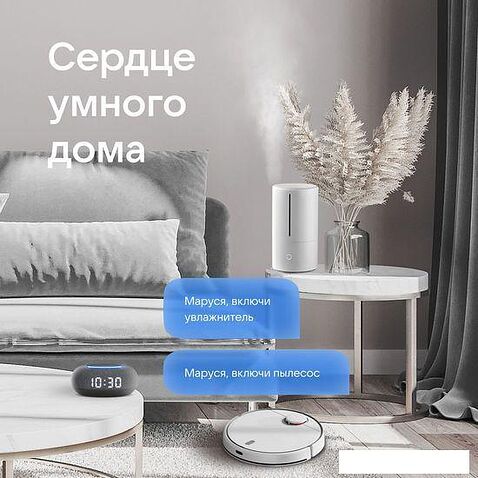 Умная колонка VK Капсула Мини (темно-серый)