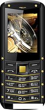 Мобильный телефон TeXet TM-520R (черный-золотистый)