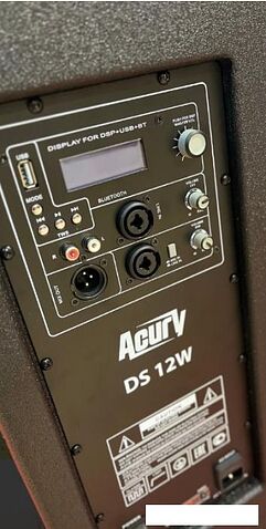 Активная акустика Acury DS12W