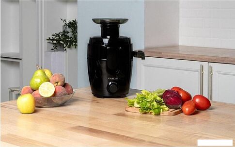 Соковыжималка Garlyn J-150