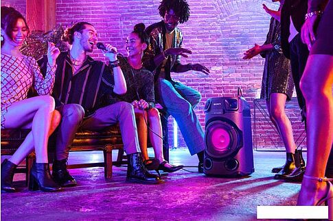 Колонка для вечеринок Sony MHC-V13