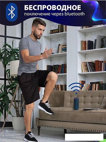 Беспроводная колонка Aiwa PAS-H200 (темно-синий)