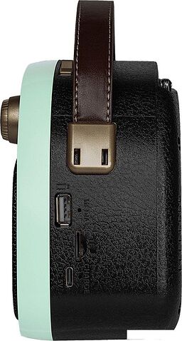 Радиоприемник Ritmix RPR-040 (мятный)