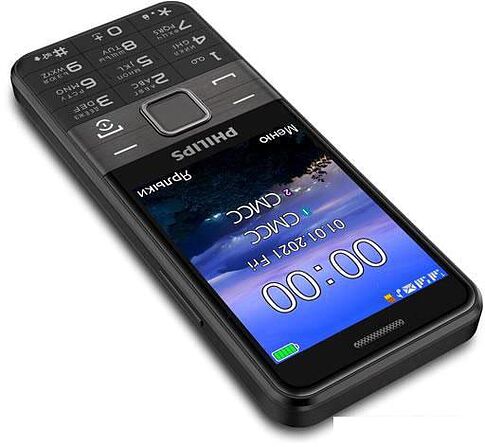 Мобильный телефон Philips Xenium E590 (черный)