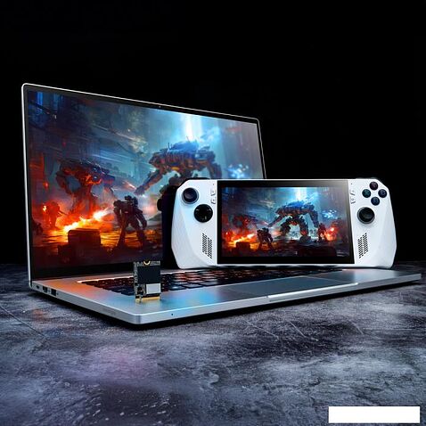 SSD ADATA XPG Gammix S55 512GB SGAMMIXS55-2T-C