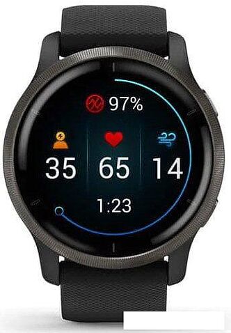 Умные часы Garmin Venu 2 (сланцевая нержавеющая сталь/черный)