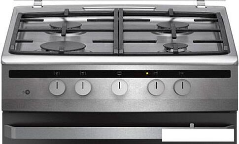 Кухонная плита Hansa FCGI63022