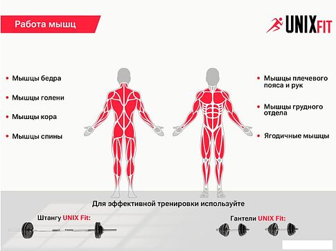 Силовая скамья Unixfit Bench 120