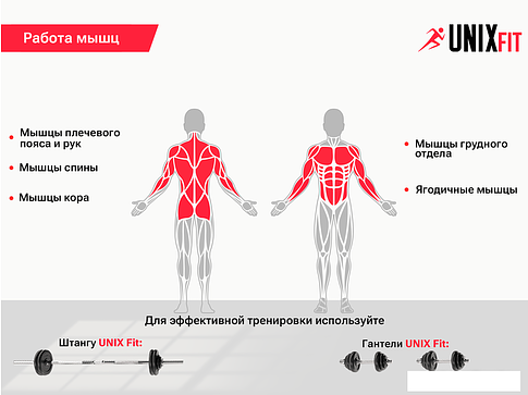Силовая скамья Unixfit Bench 110