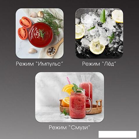 Стационарный блендер Zigmund & Shtain BS-447 D