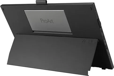 Портативный монитор ASUS ProArt PA169CDV