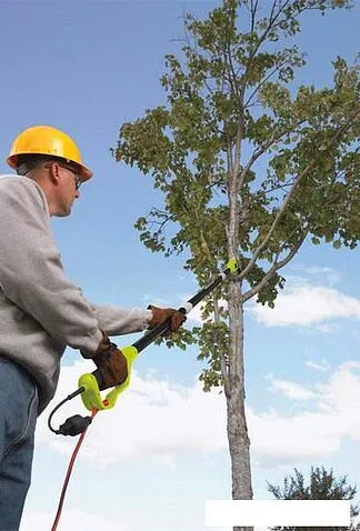 Кусторез Ryobi RP750450