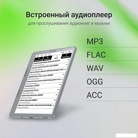 Электронная книга Digma E2