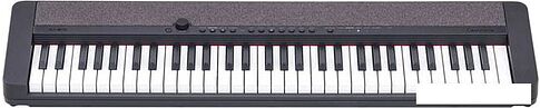 Цифровое пианино Casio CT-S1 (черный)