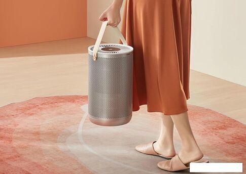 Очиститель воздуха SmartMi Air Purifier P2 ZMKQJHQP21