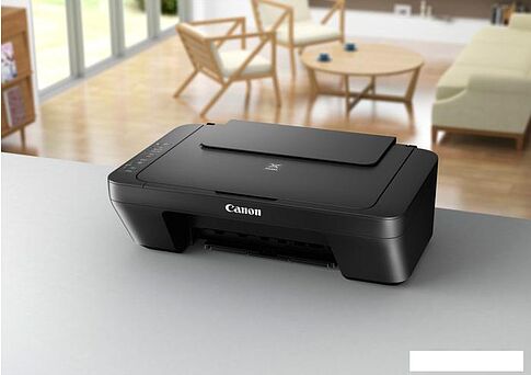 МФУ Canon PIXMA MG2550S 0727C006