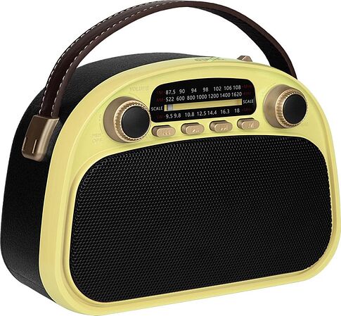 Радиоприемник Ritmix RPR-040 (лимонный)