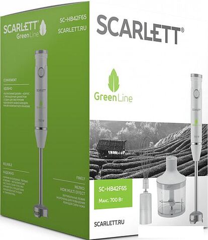 Погружной блендер Scarlett SC-HB42F65