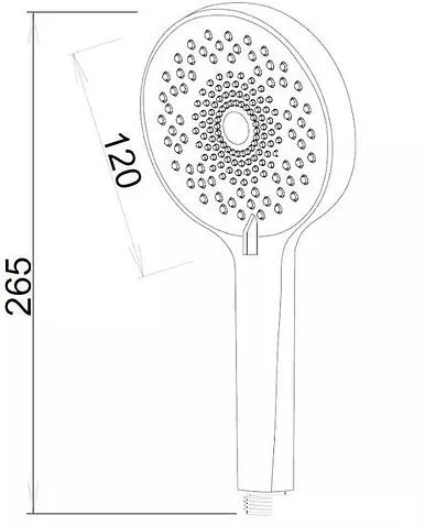 Душевая лейка Esko SSP120