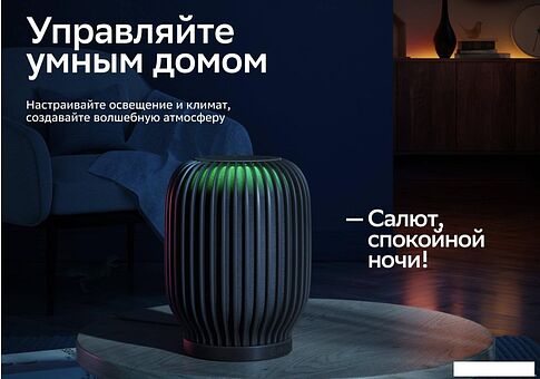 Умная колонка Sber SberBoom (марсианский красный)