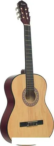 Акустическая гитара Terris TC-3901A NA