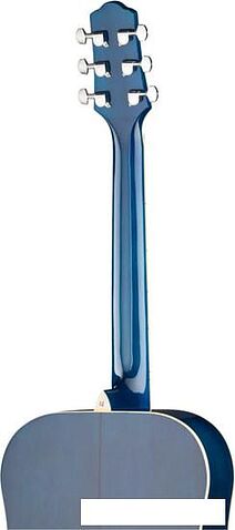 Акустическая гитара Naranda DG220BLS