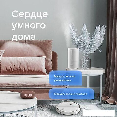 Умная колонка VK Капсула Мини (терракотовый)