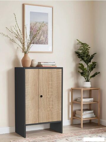 Тумба Mio Tesoro Мини 1 дверь 2.07.03.090.12 (черный/сонома)