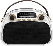 Радиоприемник Ritmix RPR-040 (белый)