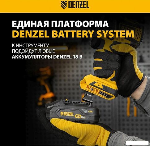 Ударная дрель-шуруповерт Denzel CIDB-18-02 26145 (с 2-мя АКБ, кейс)