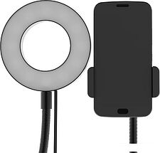 Кольцевая лампа Ritmix RRL-091