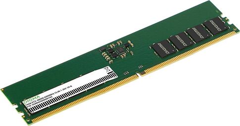 Оперативная память Digma 16ГБ DDR5 6000 МГц DGMAD56000016S