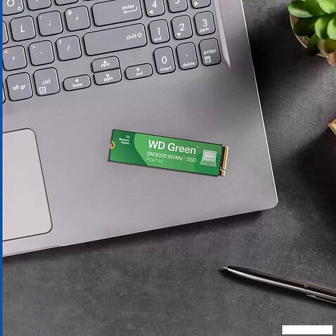 SSD WD Green SN3000 500GB WDS500G4G0E