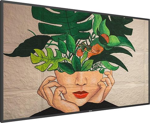 Информационная панель Philips 55BDL4511D/00