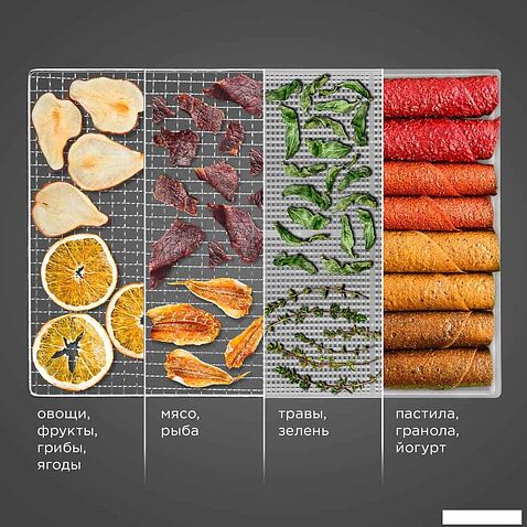 Сушилка для овощей и фруктов Redmond (Редмонд) FD1104