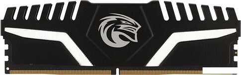 Оперативная память KingSpec Storm 8ГБ DDR5 4800 МГц KS4800D5M11008G